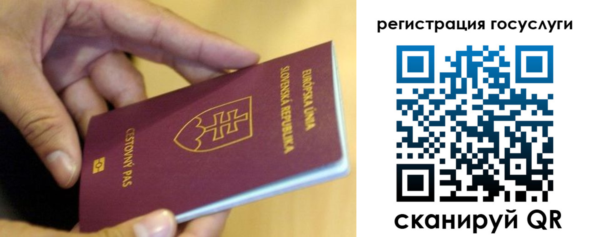 прописка в квартире в Саратове